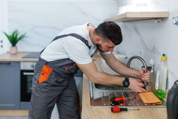 Best Commercial Plumbing Services  in New Baltimore, MI